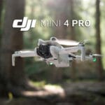djimini4proprincipal