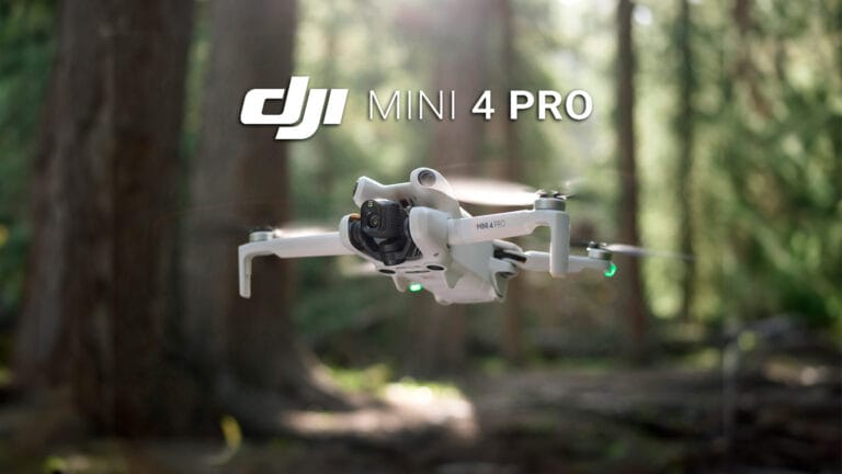 djimini4proprincipal