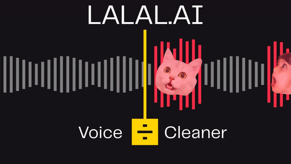 Voice Cleaner