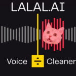Voice Cleaner